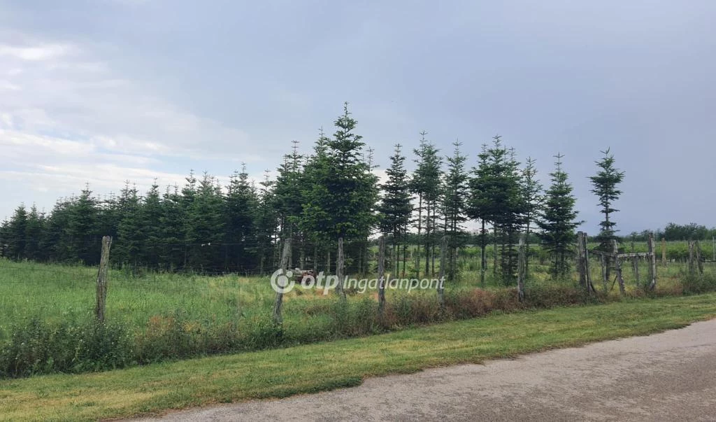 Eladó Telek, Kéthely