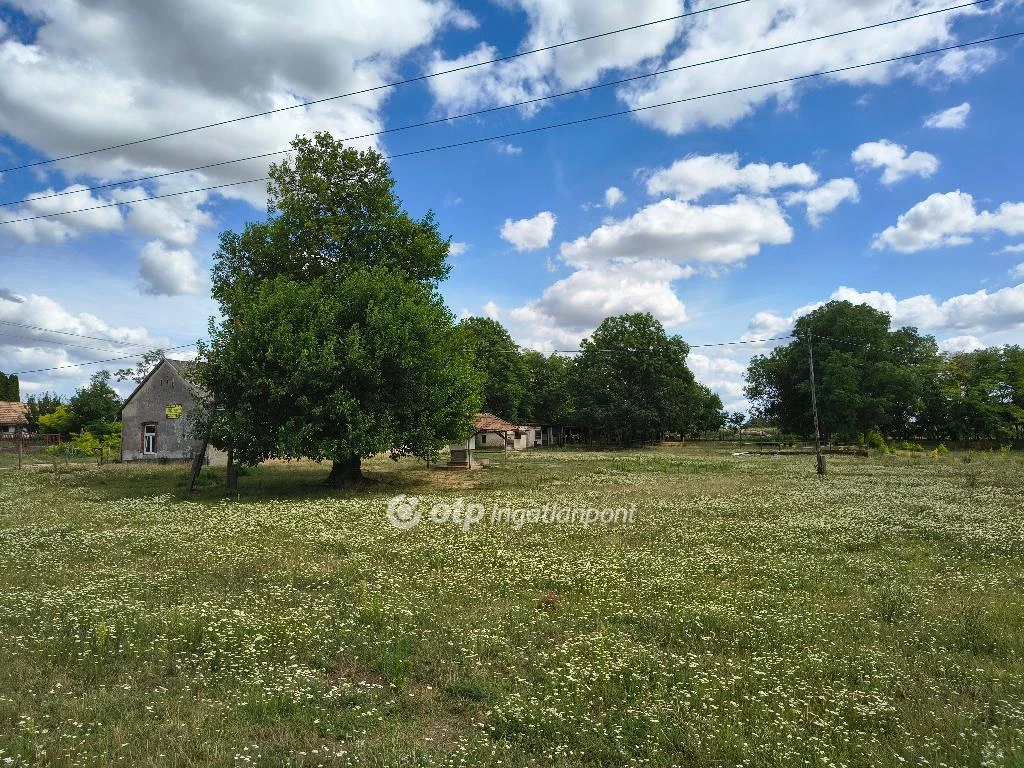 For sale plough-land, pasture, Lajoskomárom