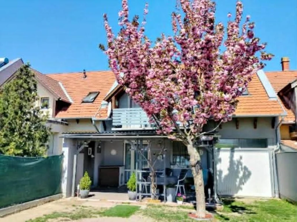 c3-1-name c2-1-name, Zamárdi