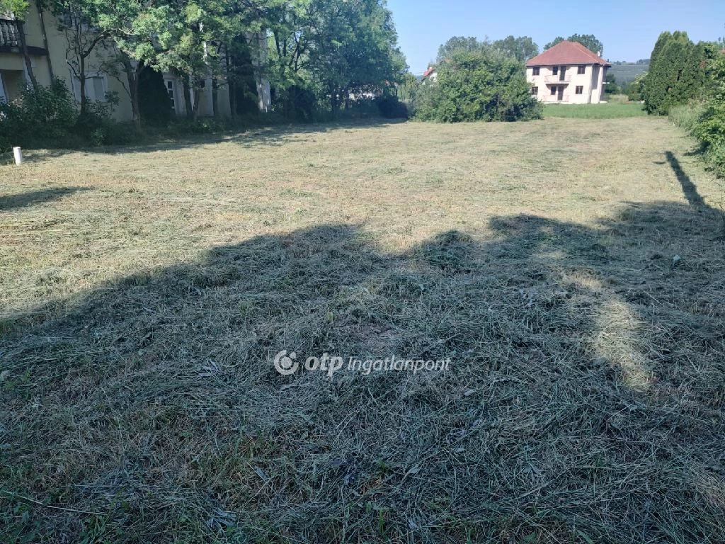 c3-1-name c2-52-name, Kehidakustány