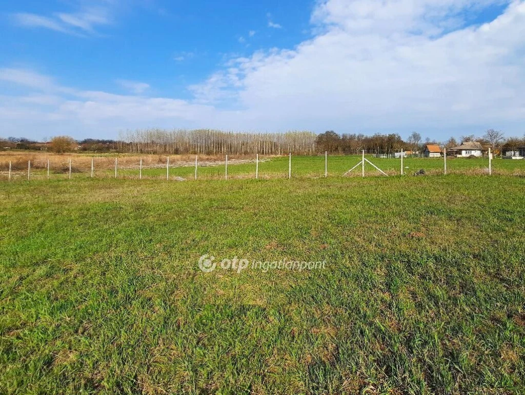 c3-1-name c2-50-name, Balatonszabadi