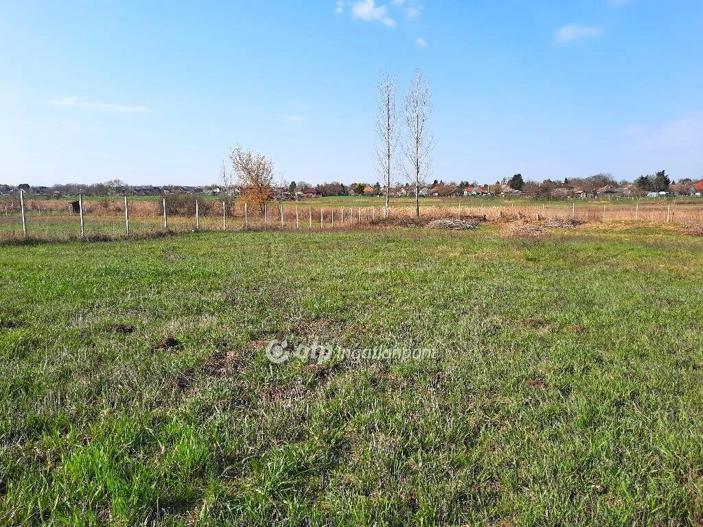 c3-1-name c2-50-name, Balatonszabadi