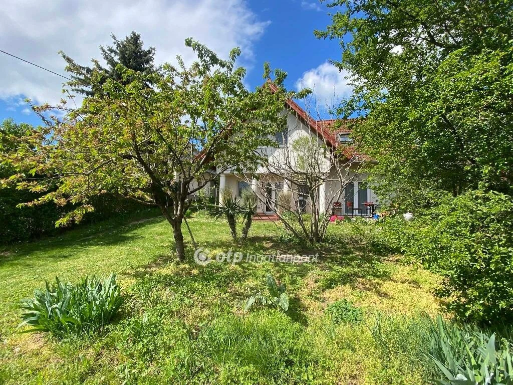 c3-1-name c2-1-name, Zamárdi