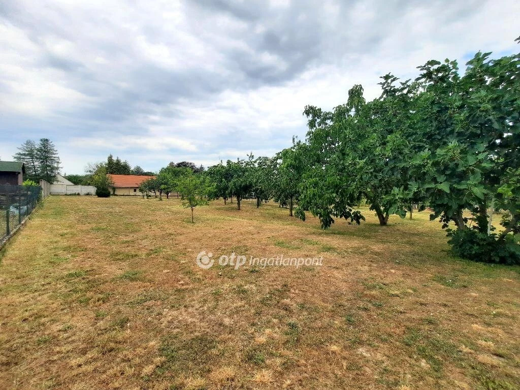 c3-1-name c2-50-name, Balatonszárszó
