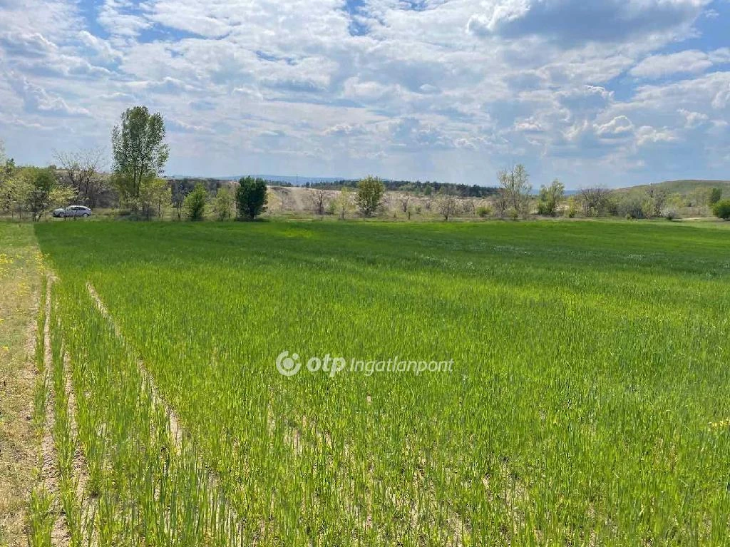 For sale plough-land, pasture, Fót