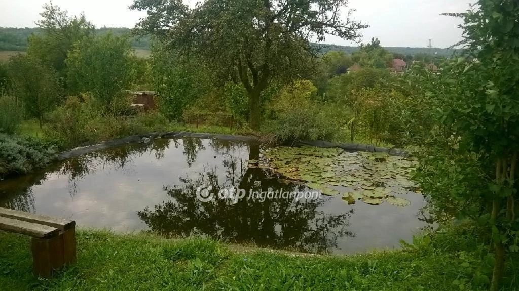 Eladó Ház, Mende