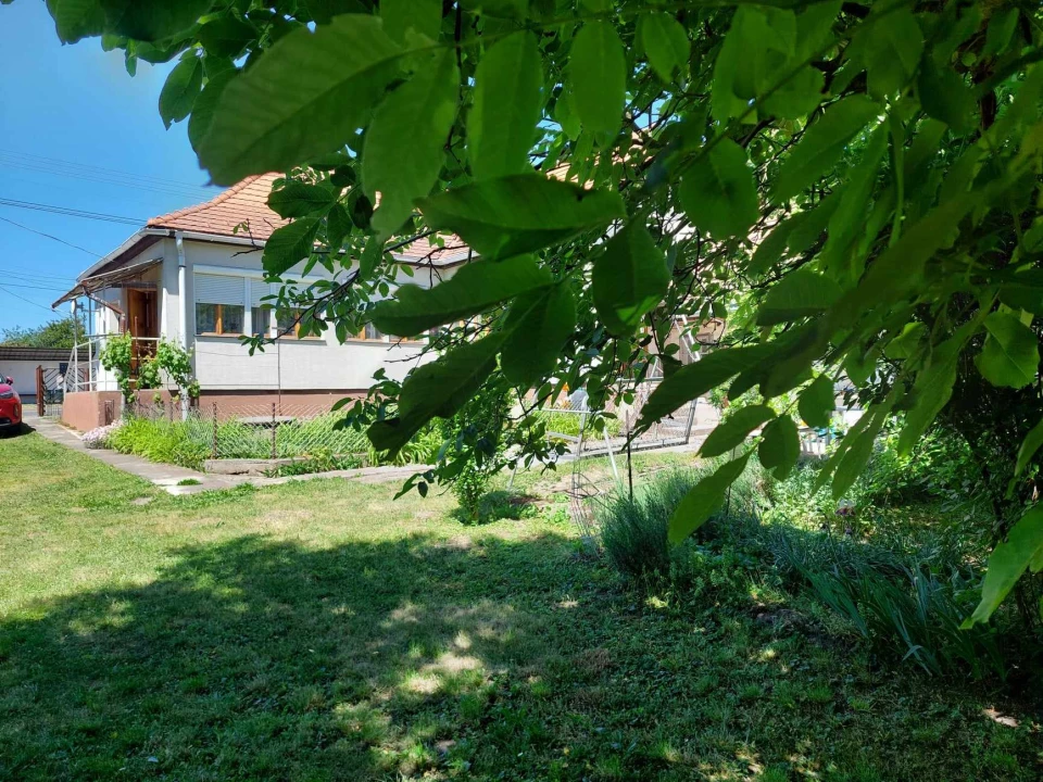 For sale house, Felcsút