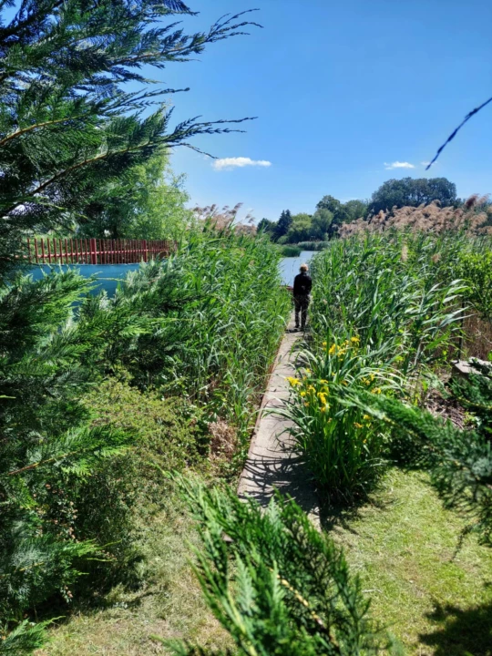For sale building plot, Szigetszentmiklós
