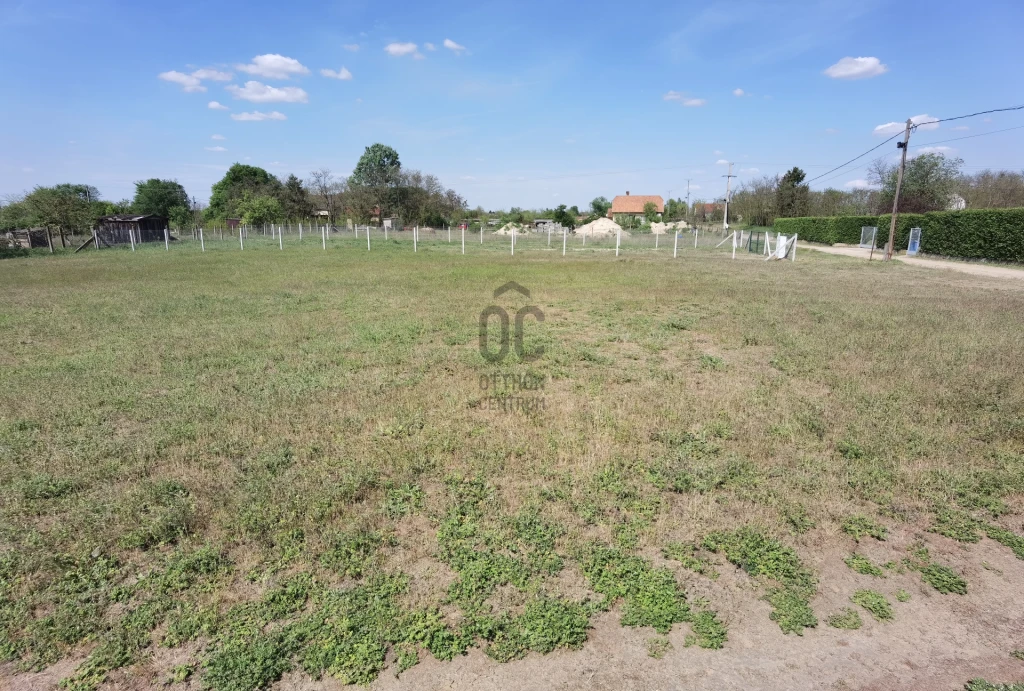 c3-1-name c2-84-name, Debrecen, Biczó István-kert