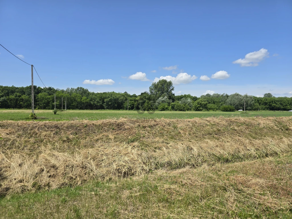 Eladó építési telek, Téglás, Téglás