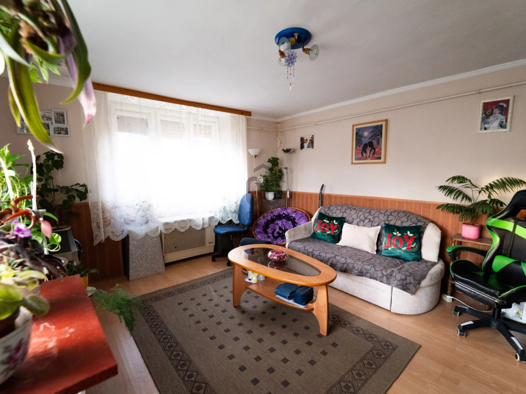 c3-1-name c2-1-name, Debrecen, Biharikert