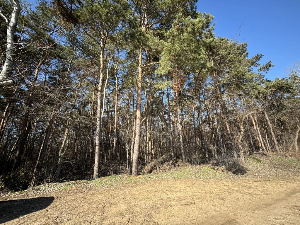 Eladó külterületi telek, Debrecen, Biczó István-kert