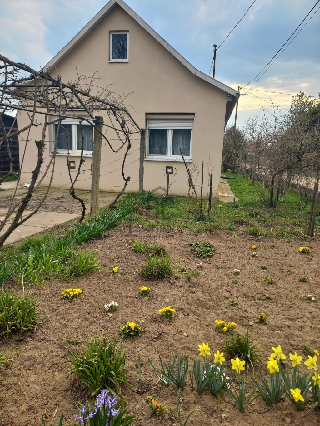 c3-1-name c2-1-name, Debrecen, Külterület