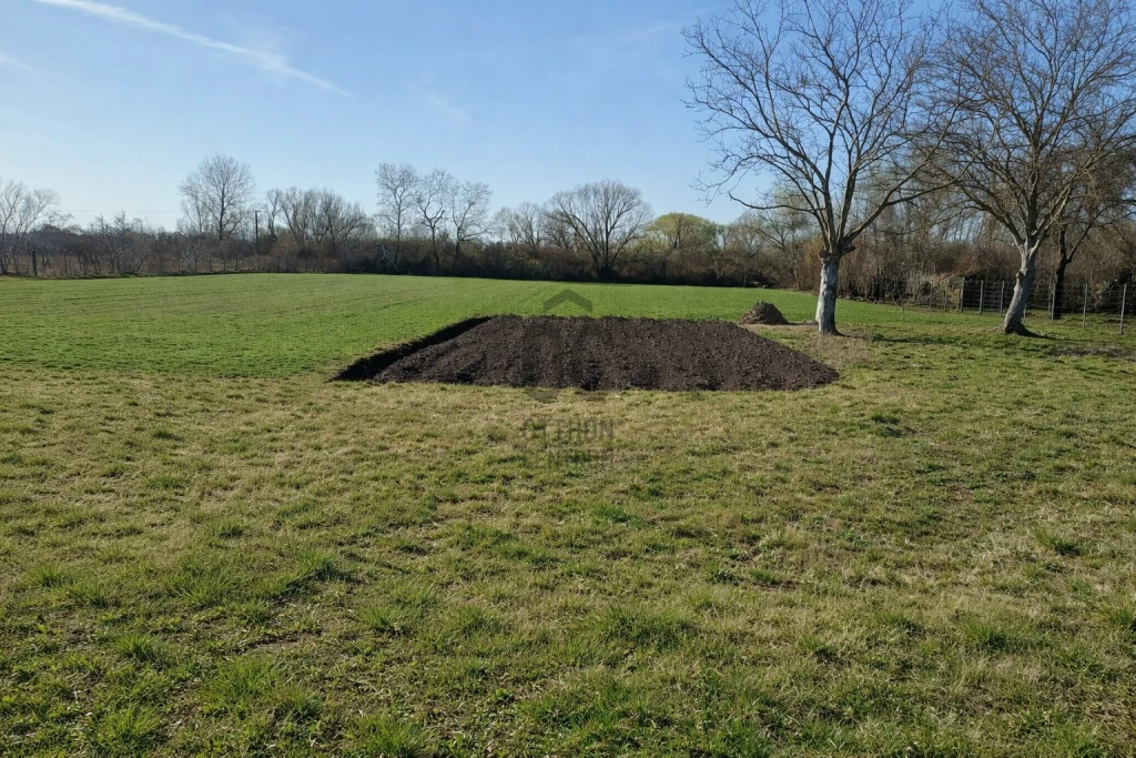 c3-1-name c2-50-name, Debrecen, Bayk András kert