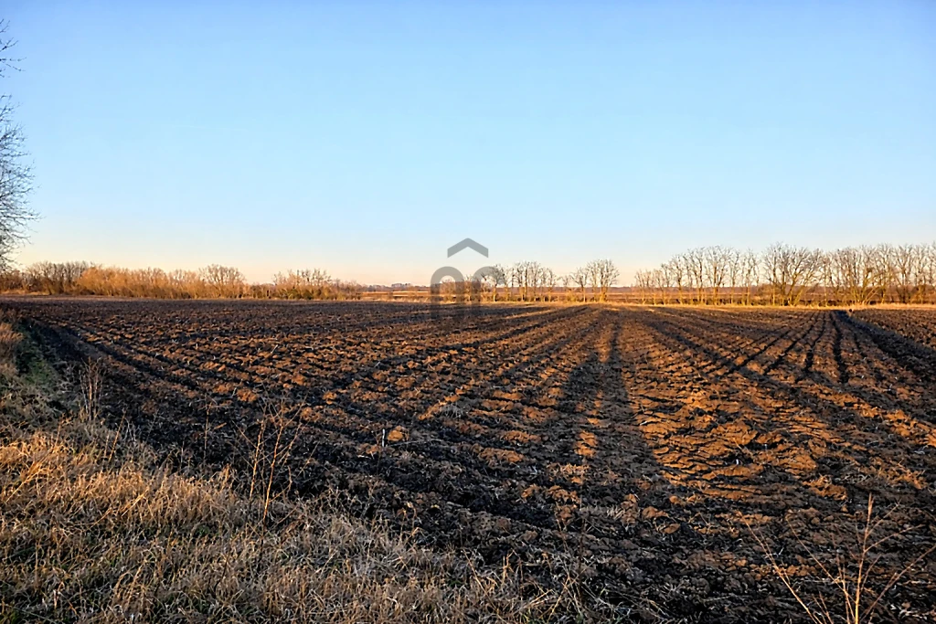 c3-1-name c2-84-name, Újfehértó, Újfehértó