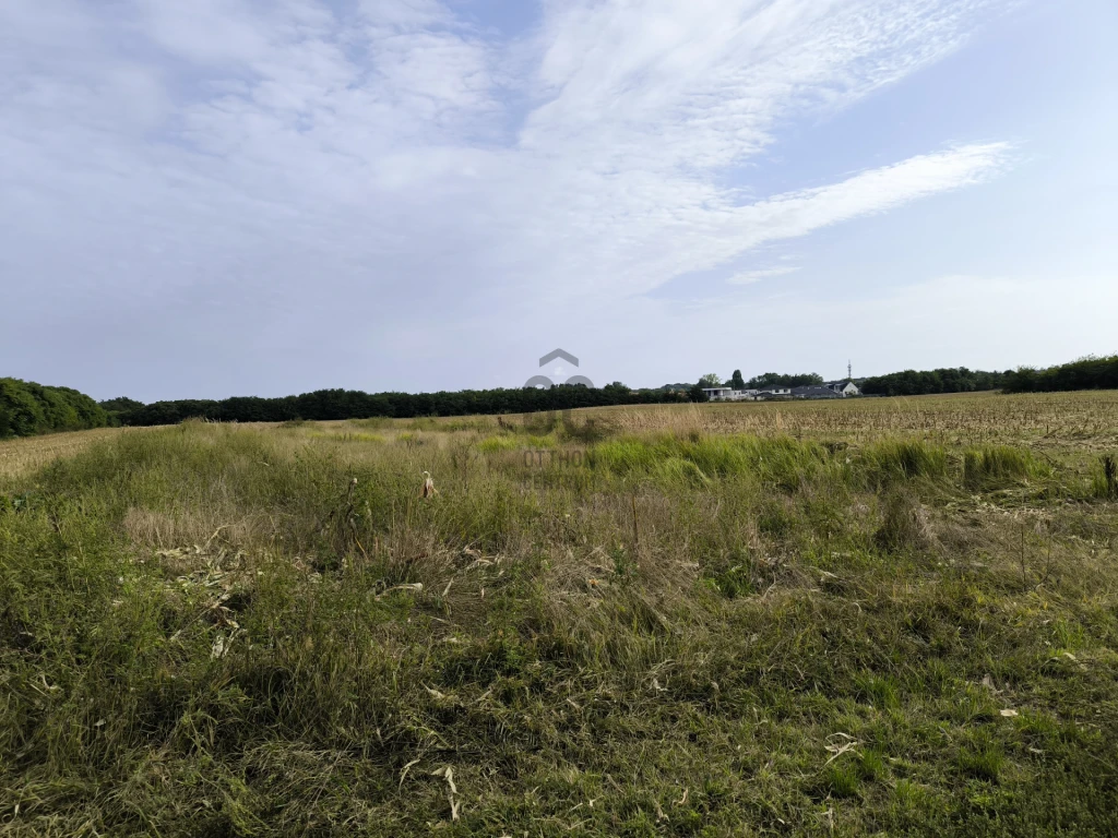 Eladó építési telek, Debrecen, Pallag