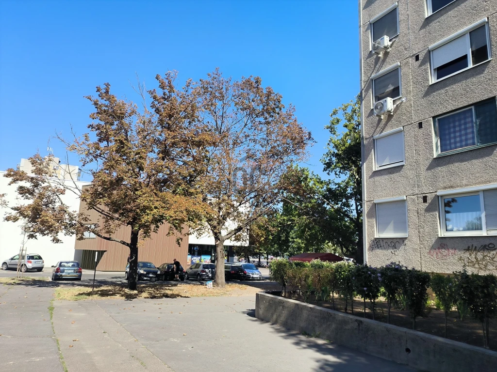 c3-2-name c2-20-name, Debrecen, Vénkert