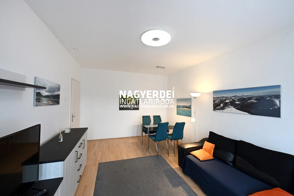 c3-2-name c2-19-name, Debrecen, Sestakert