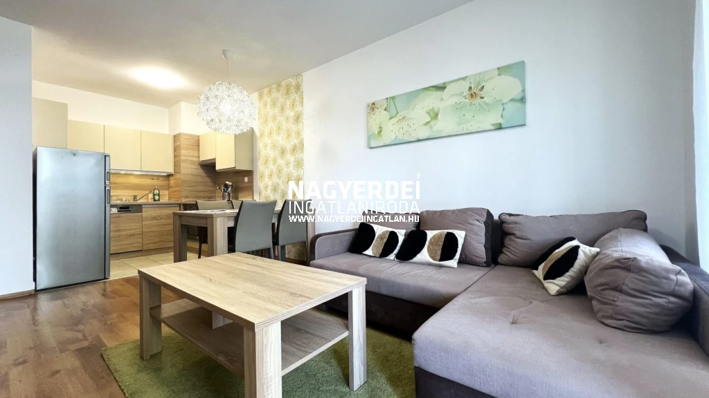 c3-2-name c2-19-name, Debrecen, Sestakert