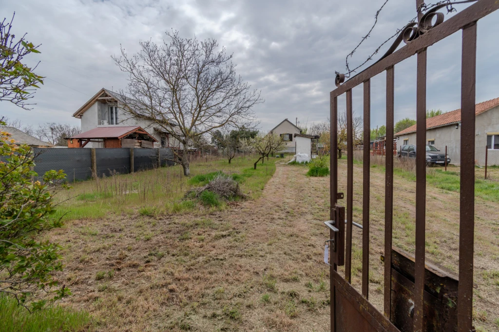 c3-1-name c2-65-name, Debrecen, Biczó István-kert