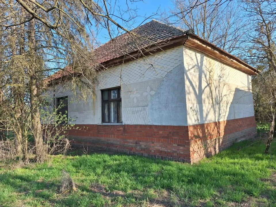 Eladó tanya, Mindszent