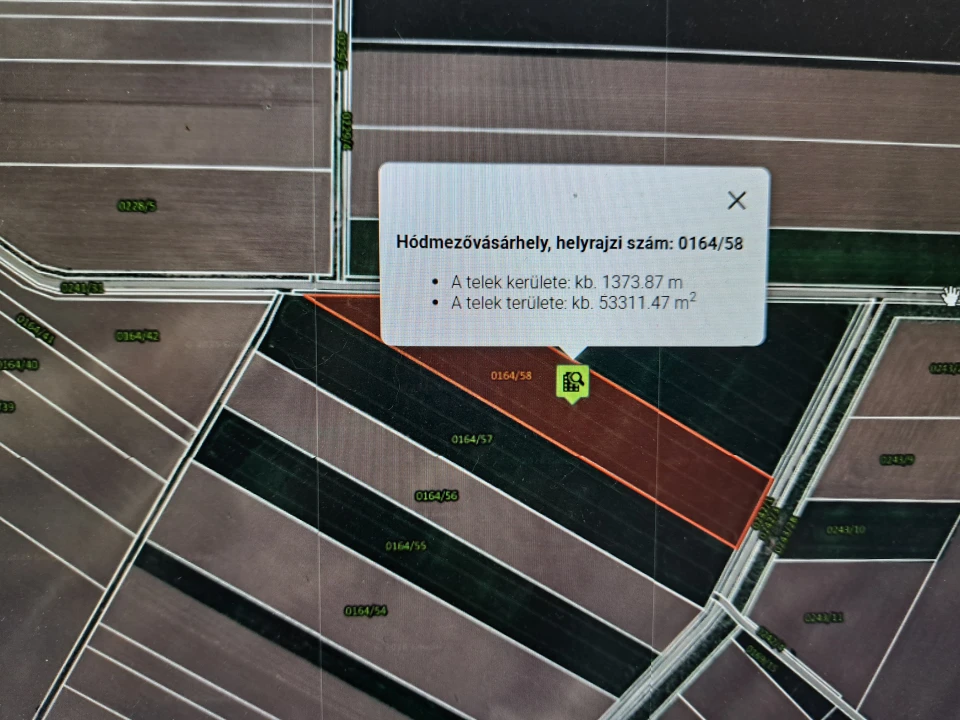Eladó szántóföld, legelő, Hódmezővásárhely