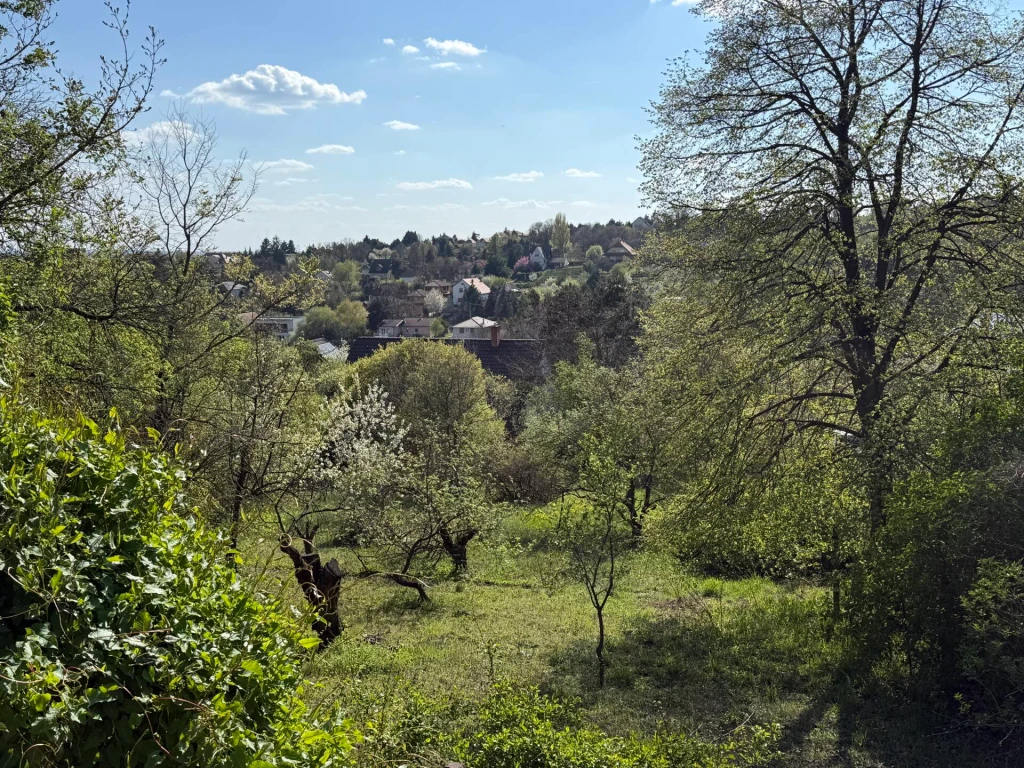 c3-1-name c2-53-name, Érd