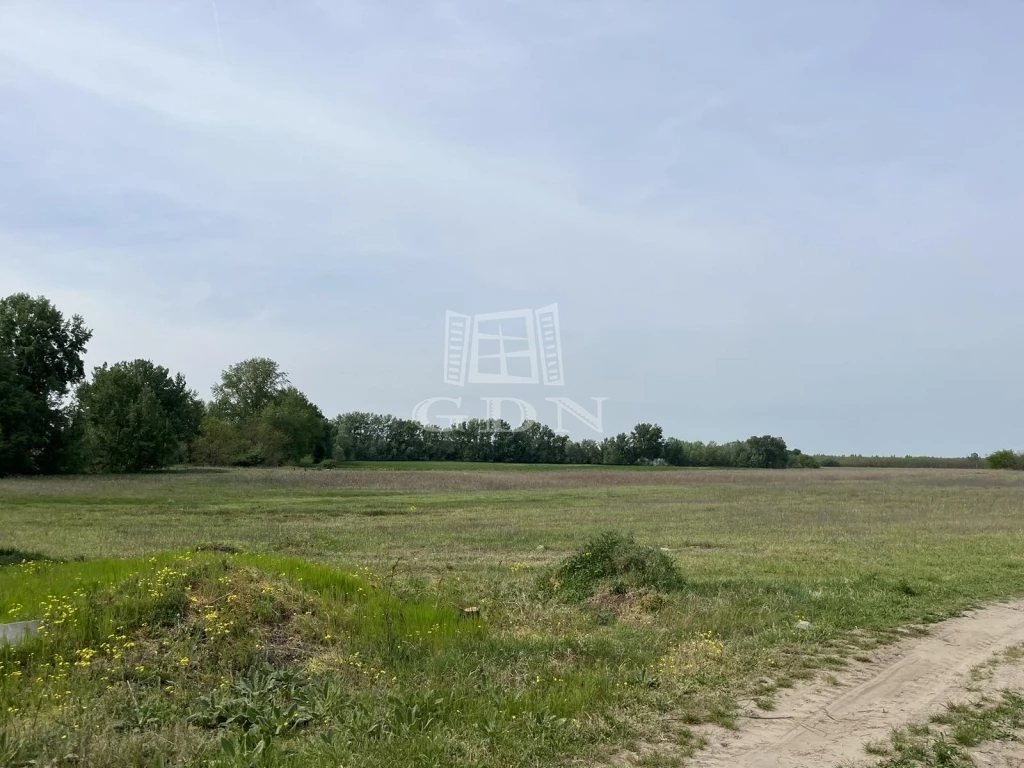 For sale plough-land, pasture, Dunaharaszti, Tavak, Dunaharaszti külterület