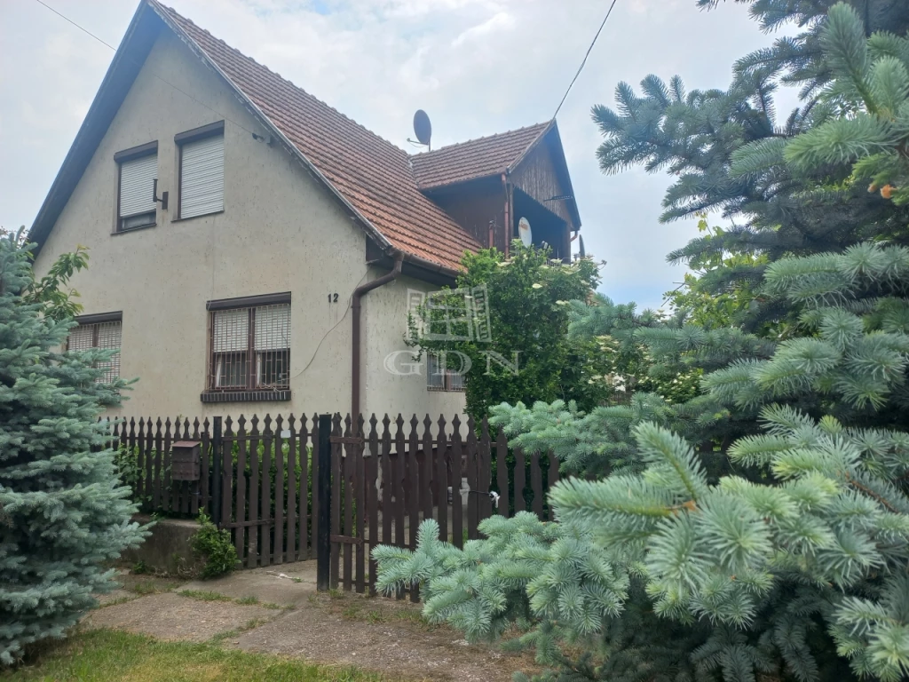 For sale house, Kunszentmiklós, Kunszentmiklós