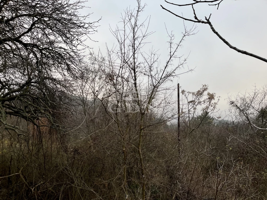 c3-1-name c2-52-name, Budaörs, Frankhegy, Rigó utca