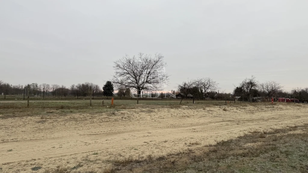 c3-1-name c2-50-name, Dunaharaszti, Harasztiszőlők, Kaszala Károly utca