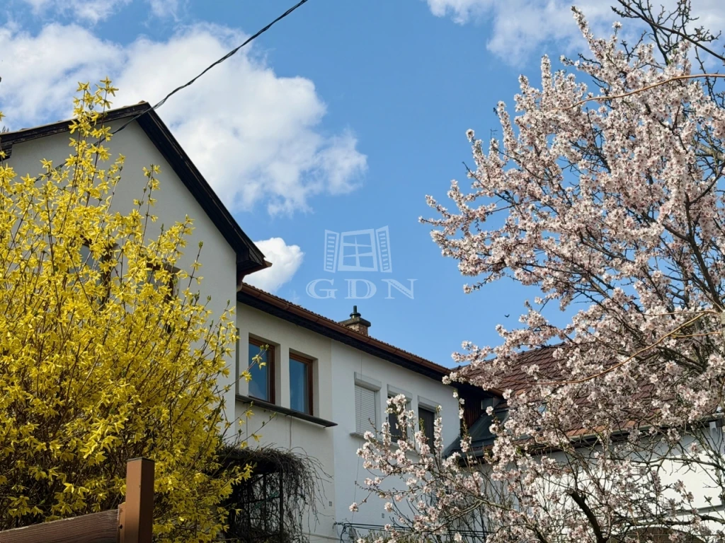 c3-1-name c2-2-name, Budapest III. kerület, Mátyáshegy, Pálvölgyi út