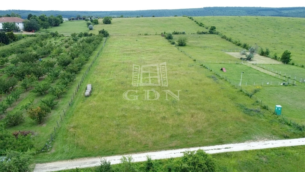 For sale plough-land, pasture, Törökbálint, Ráczug