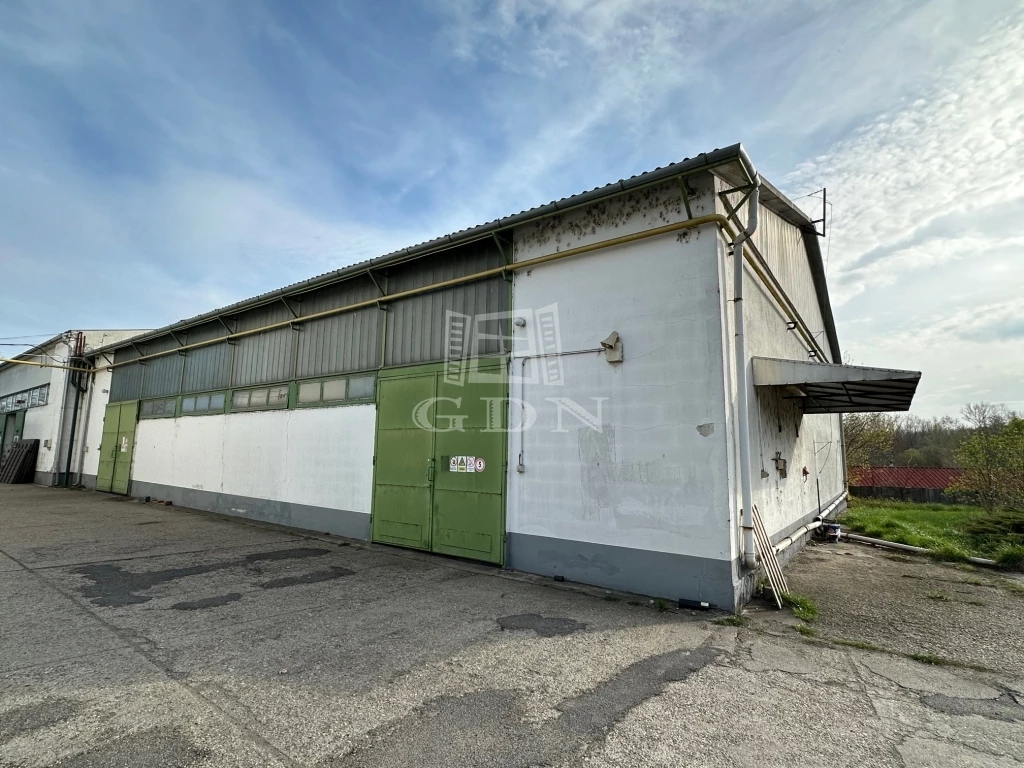 Kiadó raktár, Vác, Vác