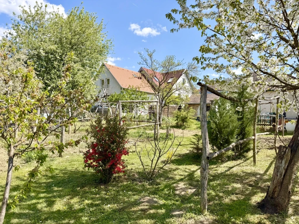 Eladó családi ház, Alsópetény, központban