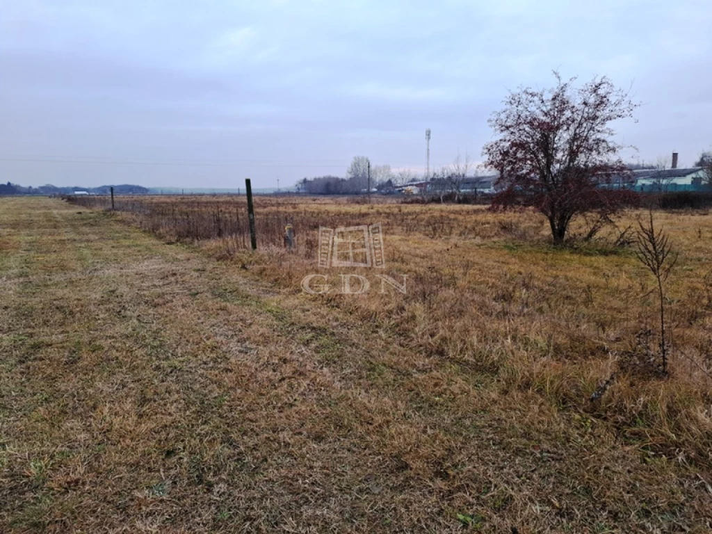 For sale building plot, Tököl, Ledina dűlő