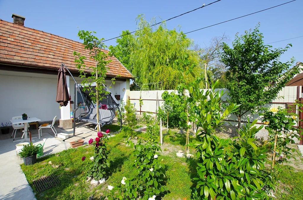 c3-1-name c2-1-name, Kiskunlacháza, Központ, Városközpont