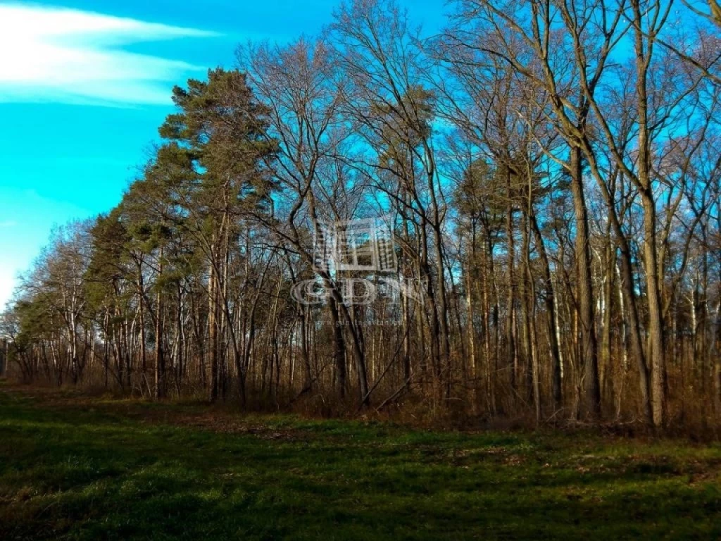 Eladó külterületi telek, Tököl, Üdülőterület, Dunasor út