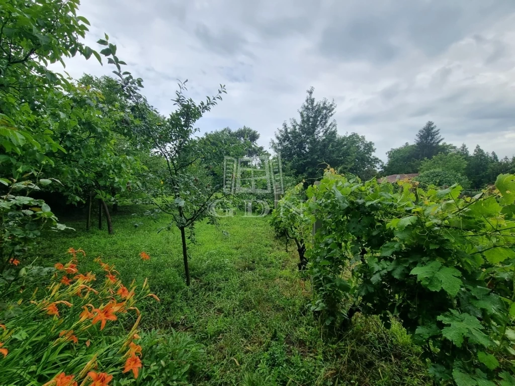 For sale periphery plot, Székesfehérvár, Holló utca