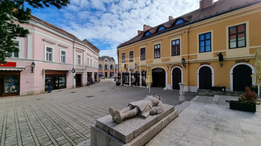 Kiadó üzlet, Székesfehérvár, Belváros és környéke, Történelmi belvárosban