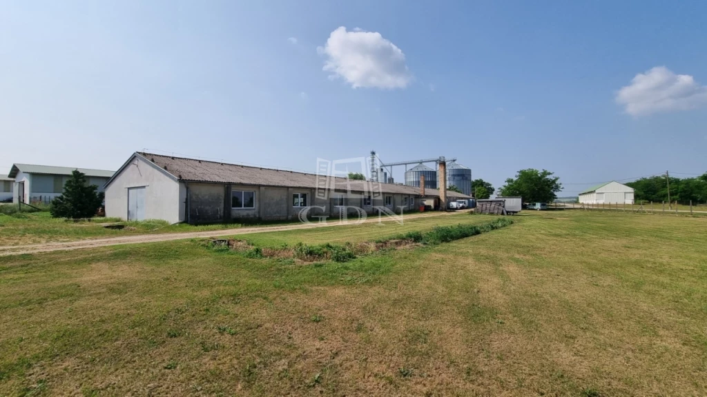 c3-1-name c2-66-name, Pátka, Vargahegyi út