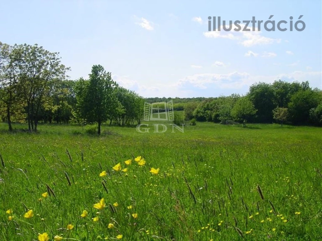 c3-1-name c2-50-name, Úrhida, központban