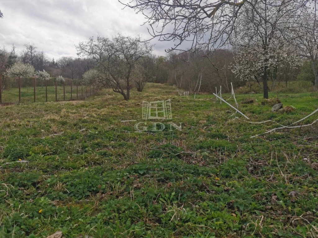 c3-1-name c2-50-name, Úrhida, központban