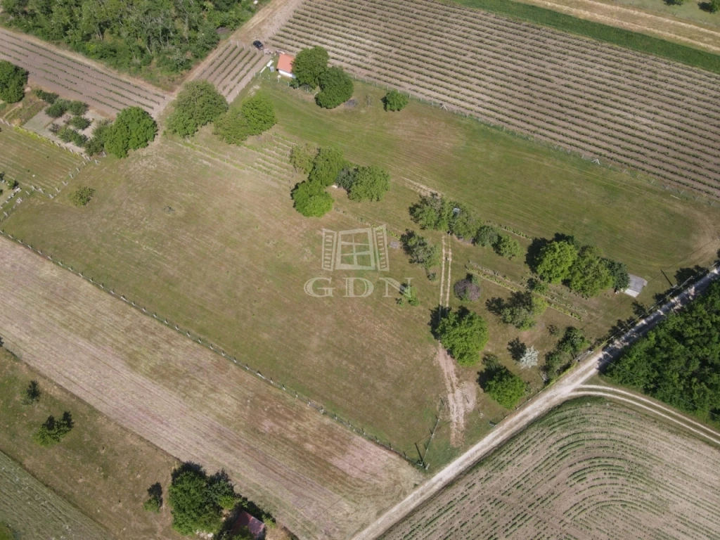 For sale periphery plot, Lovasberény, Tőkeföld