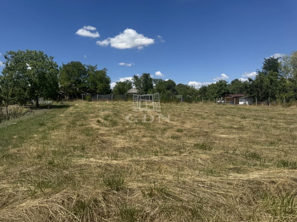 c3-1-name c2-50-name, Úrhida, Szegfű utca