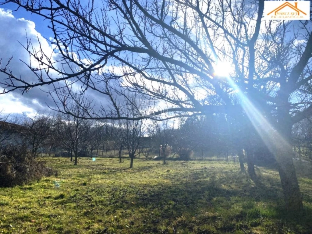 For sale building plot, Sárszentmihály, Kőris utca