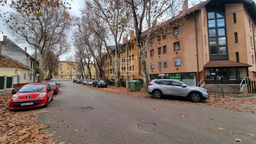 Kiadó üzlet, Székesfehérvár, Gyümölcs utca