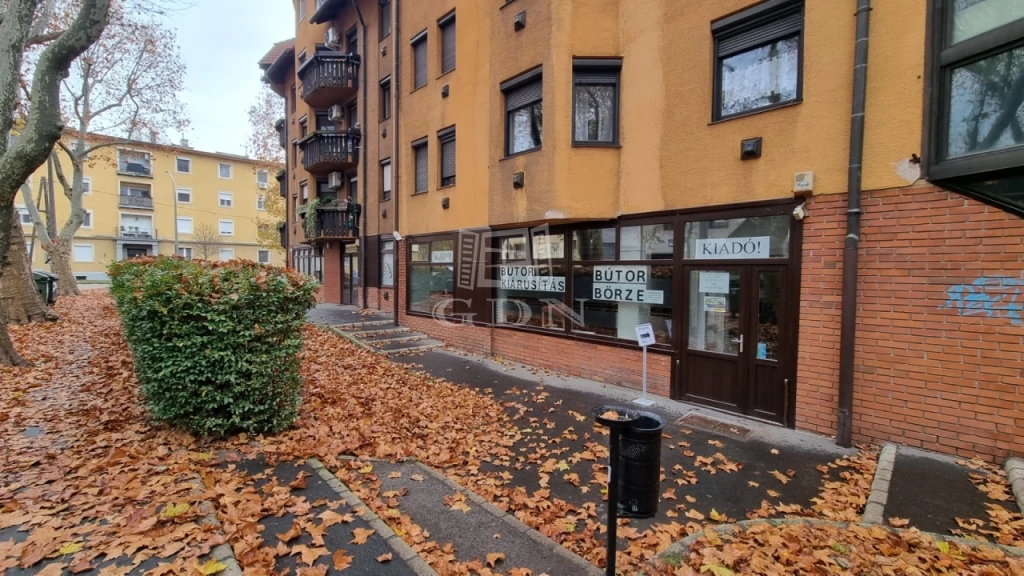 Kiadó üzlet, Székesfehérvár, Gyümölcs utca