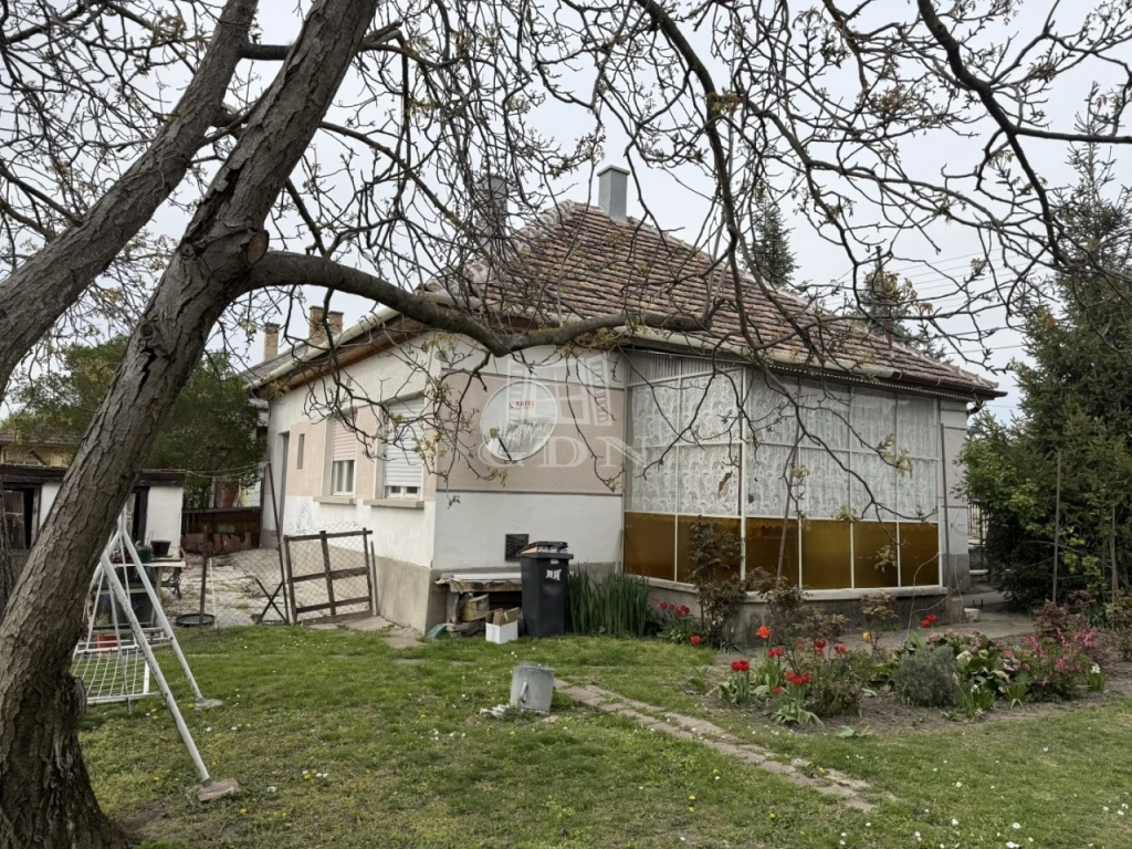 c3-1-name c2-1-name, Székesfehérvár, Őrhalmi szőlők, Őrhalmi szőlőknél