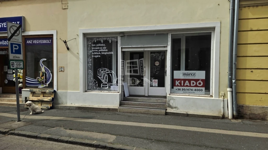 Kiadó üzlet, Székesfehérvár, Belváros és környéke, Történelmi belváros